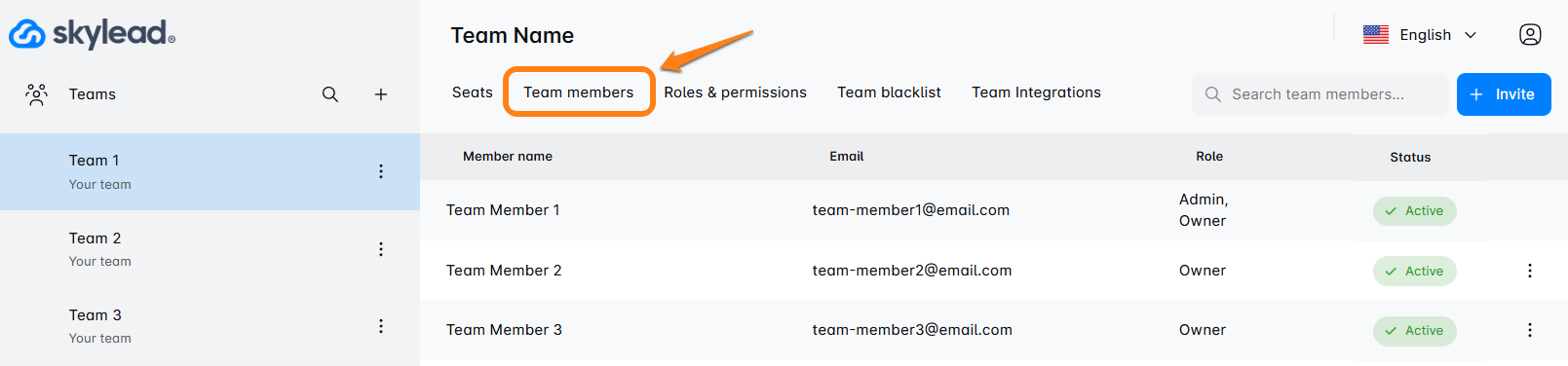 TeamMenuSettingsSkylead1.png